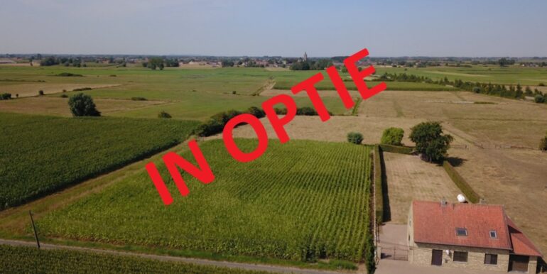 OPTIE